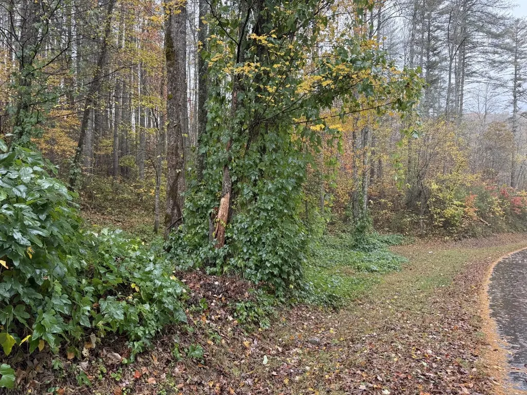 34 Rustling Woods Trail Cullowhee NC 28723