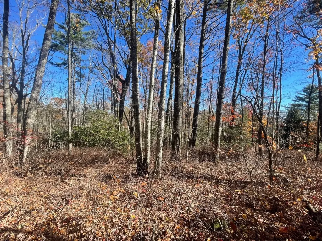 E-149 N High Mountain Drive Cashiers NC 28717