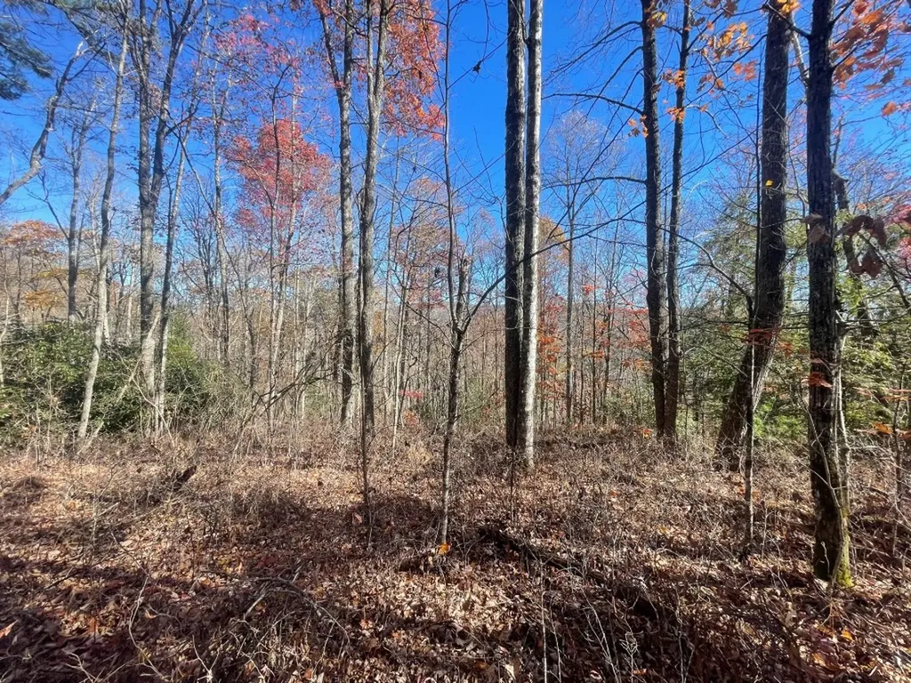 E-149 N High Mountain Drive Cashiers NC 28717