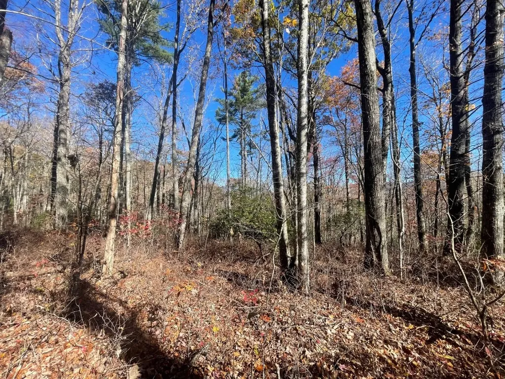 E-149 N High Mountain Drive Cashiers NC 28717