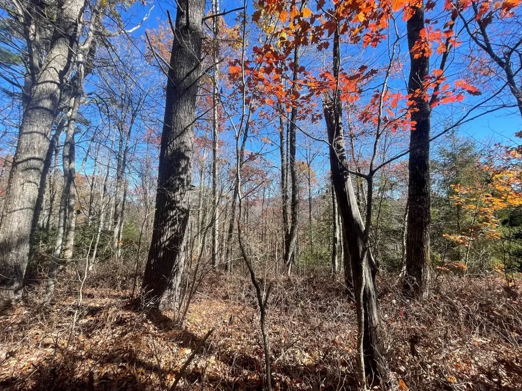 E-149 N High Mountain Drive Cashiers NC 28717