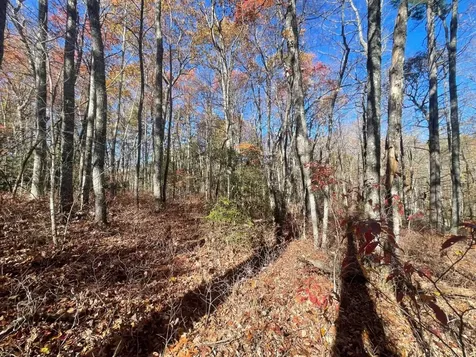 E-149 N High Mountain Drive Cashiers NC 28717