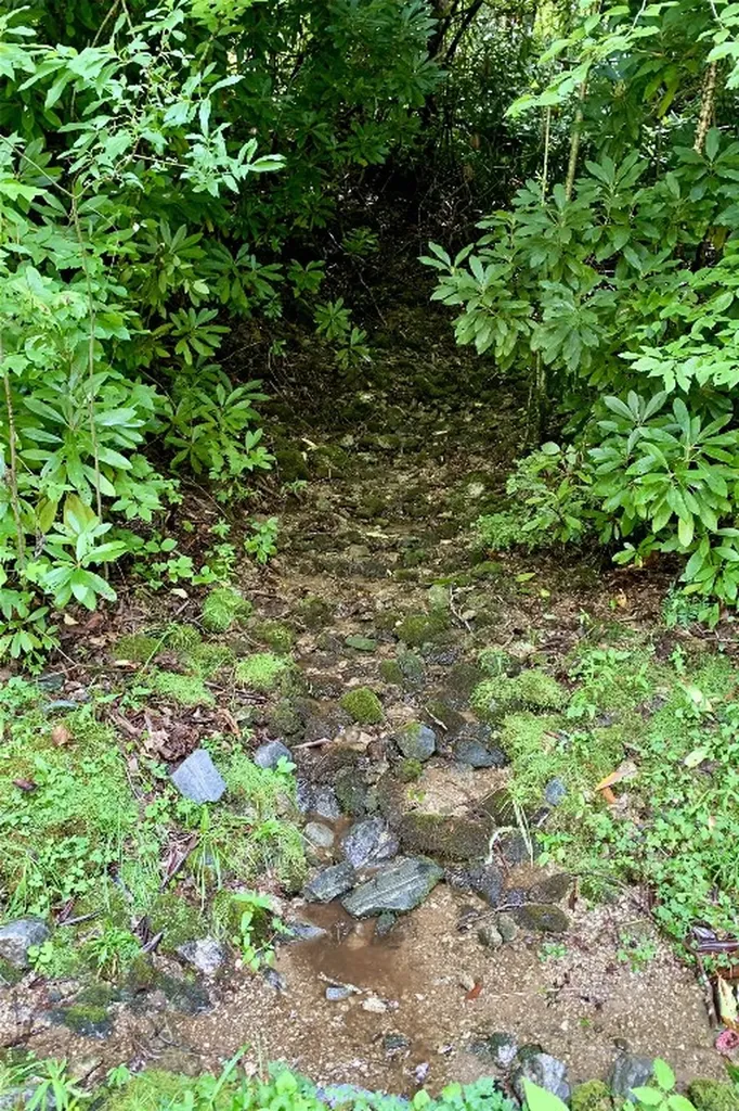 Lot 6 Woods Mountain Trail Cullowhee NC 28723