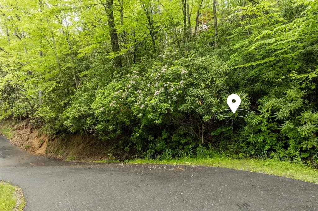 Lot 6 Woods Mountain Trail Cullowhee NC 28723