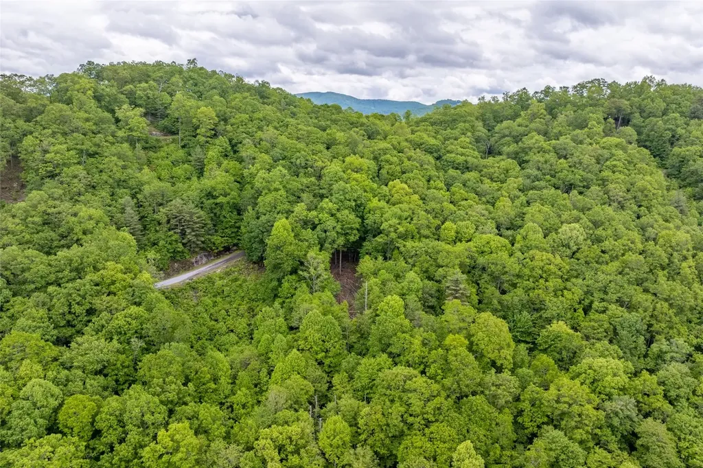 Lot 13 Shepherds Gap Road Cullowhee NC 28723