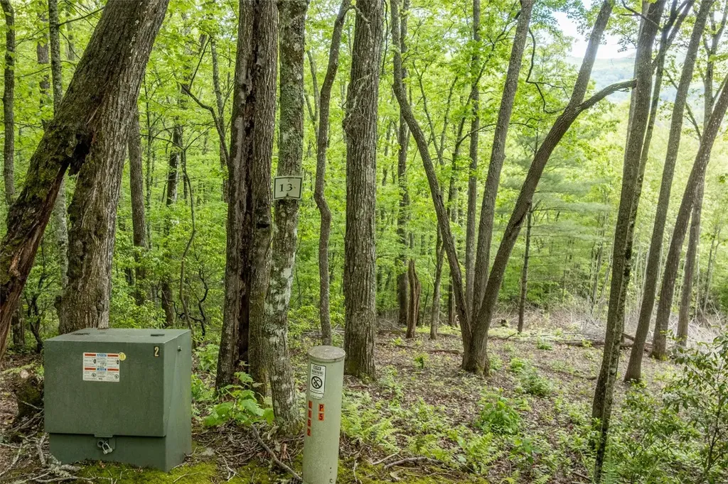 Lot 13 Shepherds Gap Road Cullowhee NC 28723