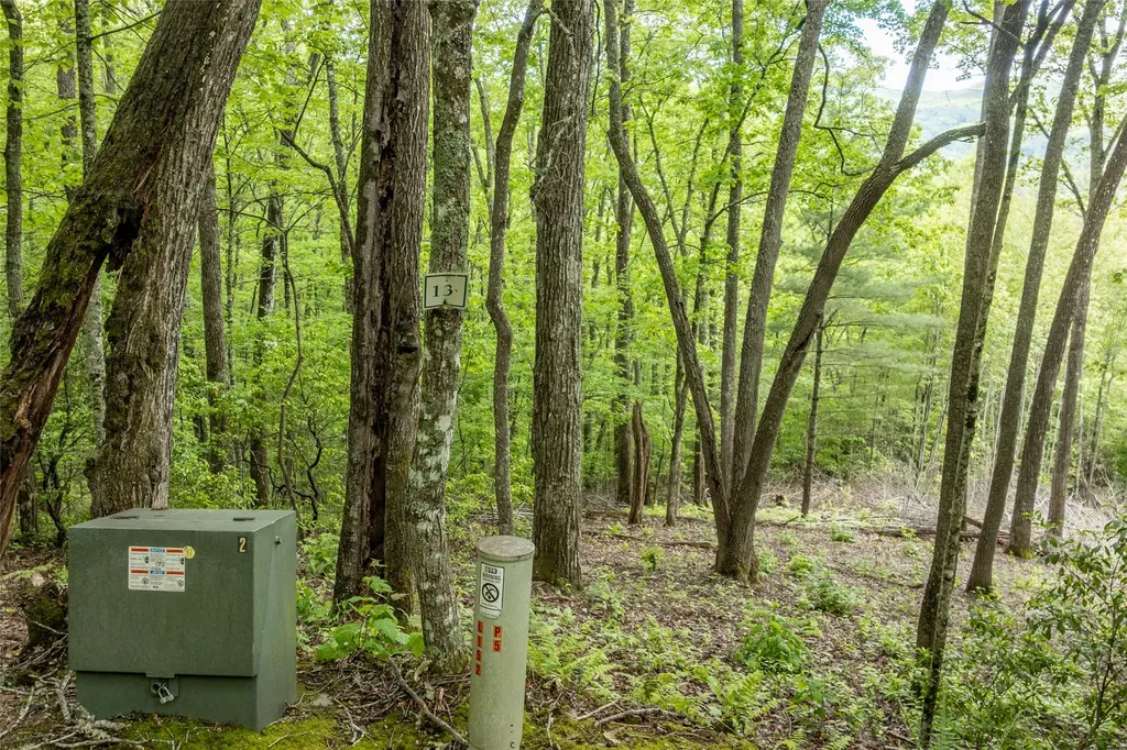 Lot 13 Shepherds Gap Road Cullowhee NC 28723