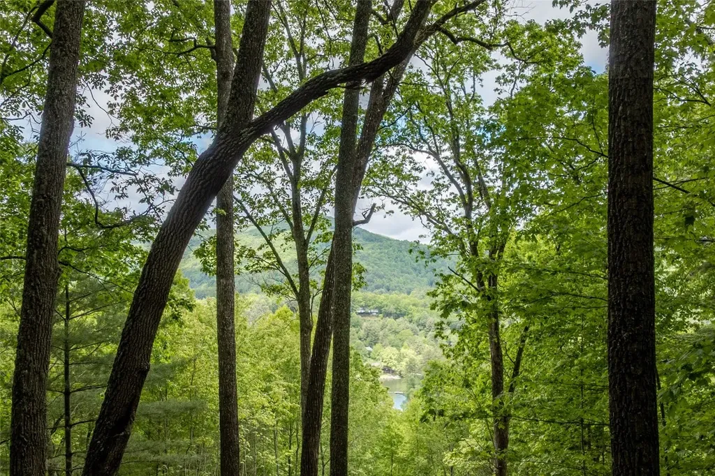 Lot 13 Shepherds Gap Road Cullowhee NC 28723