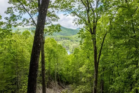 Lot 13 Shepherds Gap Road Cullowhee NC 28723