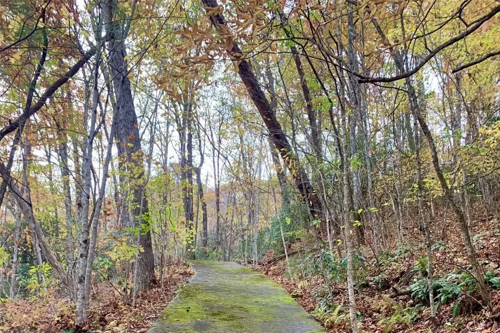 Lot 5 Woods Mountain Trail Cullowhee NC 28723