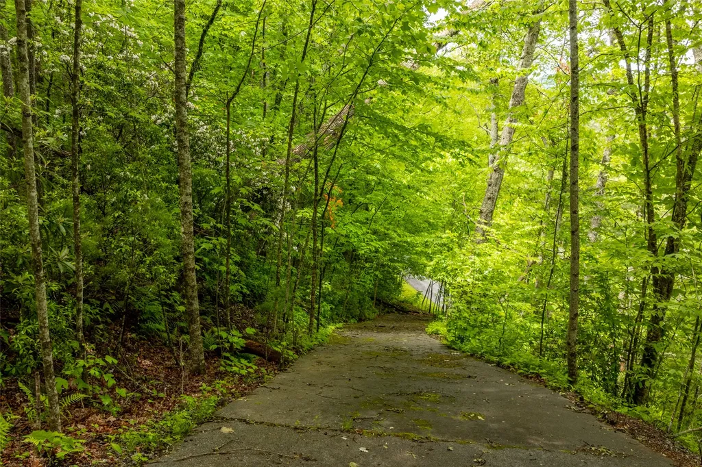 Lot 5 Woods Mountain Trail Cullowhee NC 28723