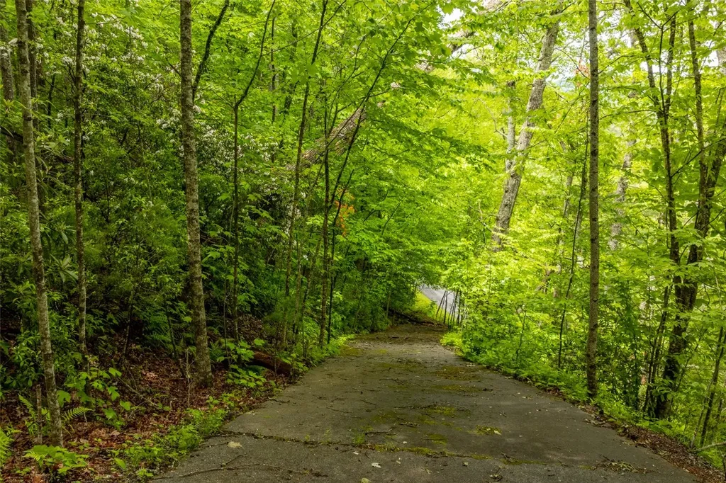 Lot 5 Woods Mountain Trail Cullowhee NC 28723