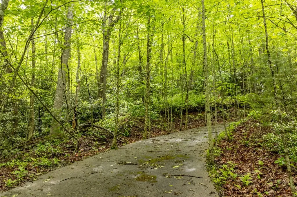 Lot 5 Woods Mountain Trail Cullowhee NC 28723