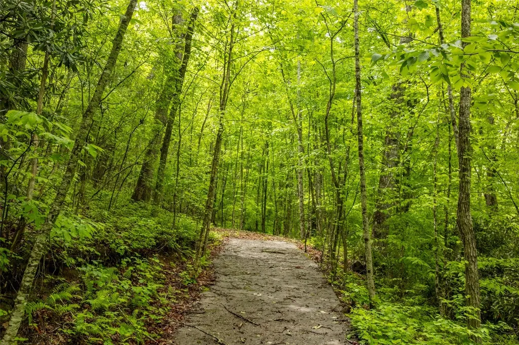 Lot 5 Woods Mountain Trail Cullowhee NC 28723
