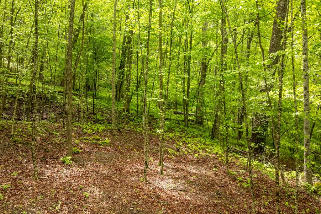 Lot 5 Woods Mountain Trail Cullowhee NC 28723