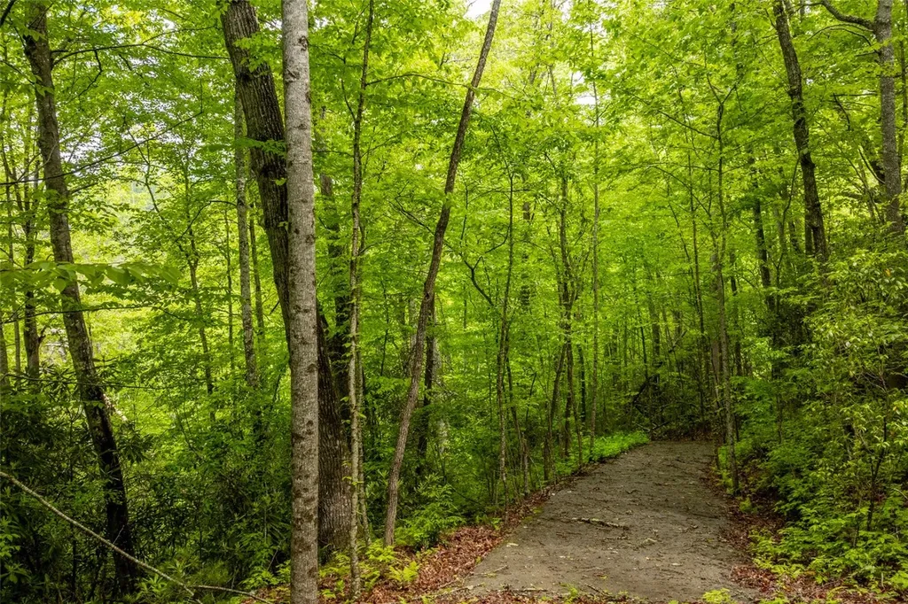 Lot 5 Woods Mountain Trail Cullowhee NC 28723