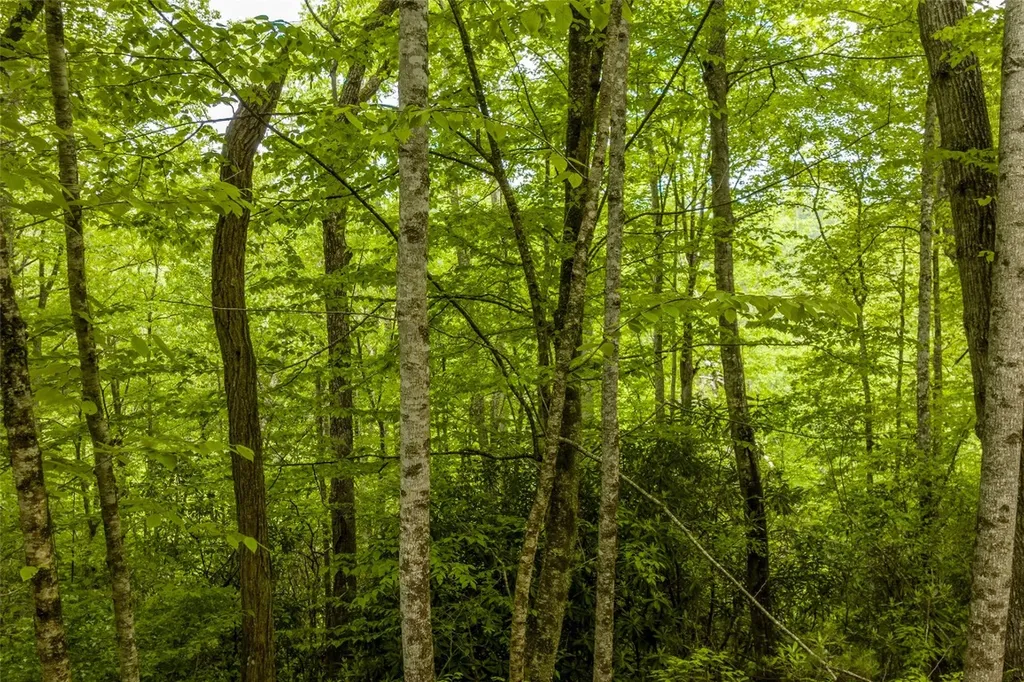Lot 5 Woods Mountain Trail Cullowhee NC 28723