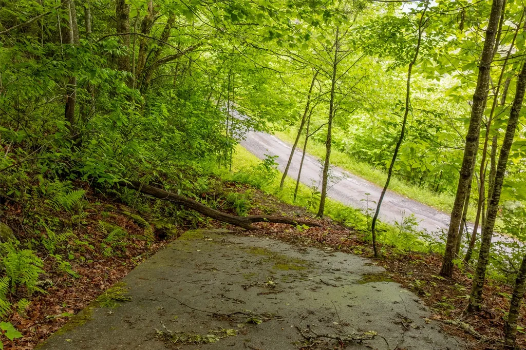 Lot 5 Woods Mountain Trail Cullowhee NC 28723