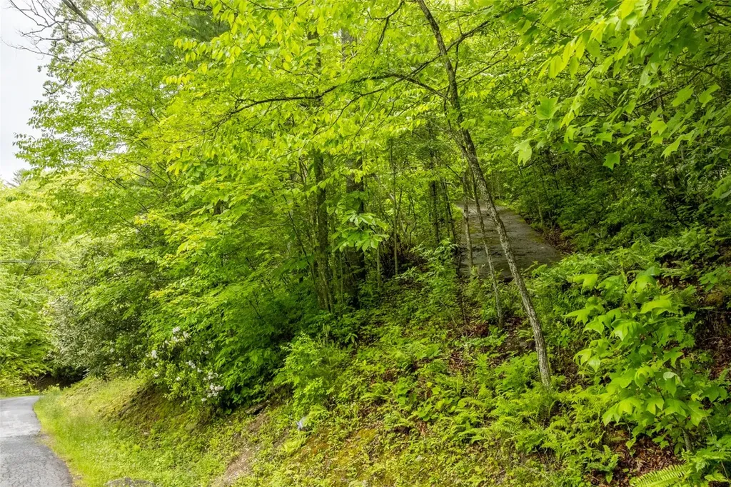 Lot 5 Woods Mountain Trail Cullowhee NC 28723
