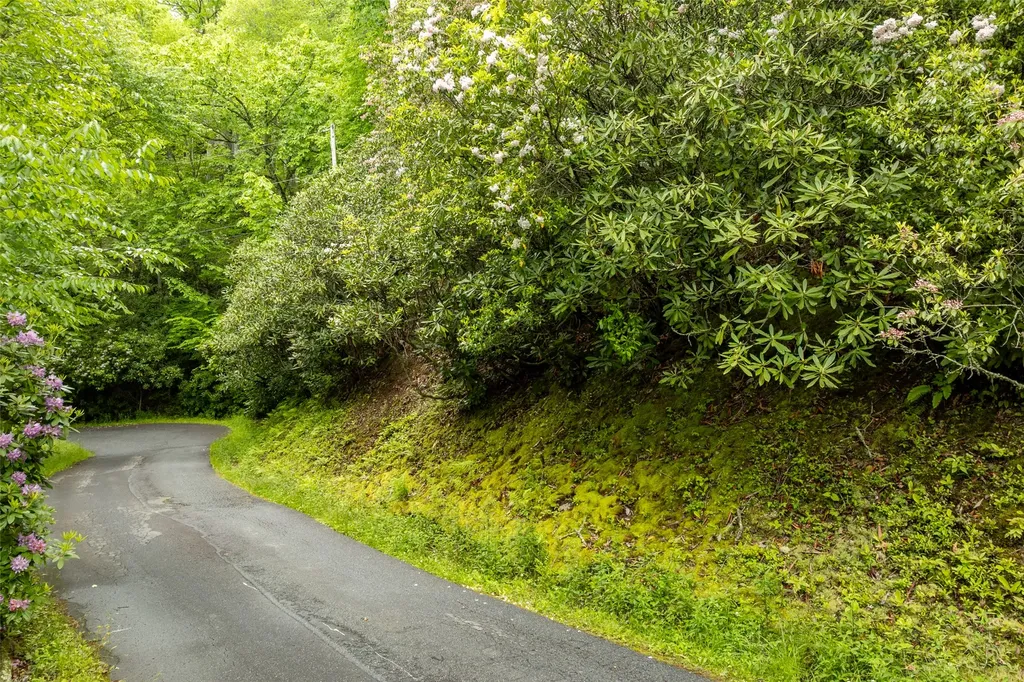 Lot 5 Woods Mountain Trail Cullowhee NC 28723