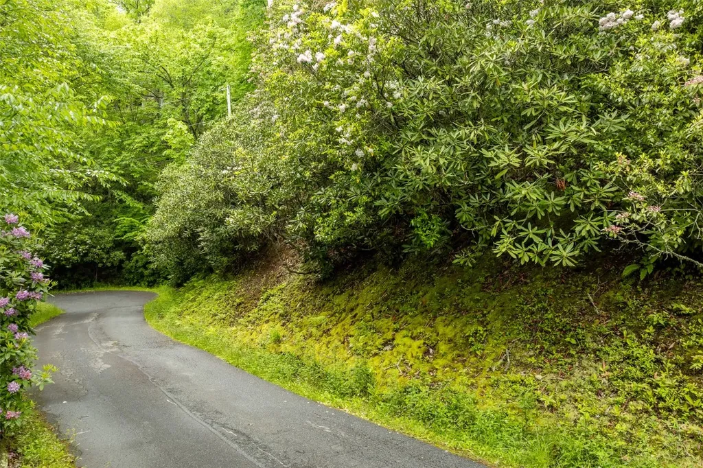 Lot 5 Woods Mountain Trail Cullowhee NC 28723