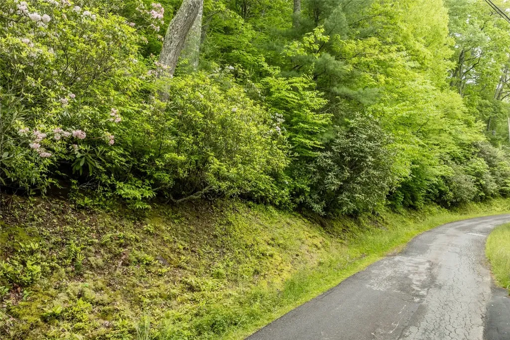 Lot 5 Woods Mountain Trail Cullowhee NC 28723