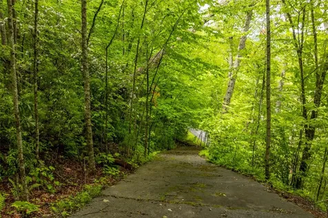 Lot 5 Woods Mountain Trail Cullowhee NC 28723