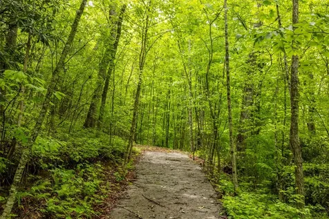 Lot 5 Woods Mountain Trail Cullowhee NC 28723