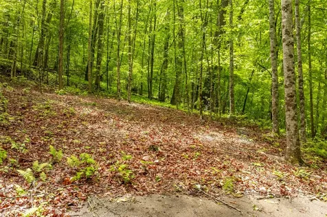 Lot 5 Woods Mountain Trail Cullowhee NC 28723