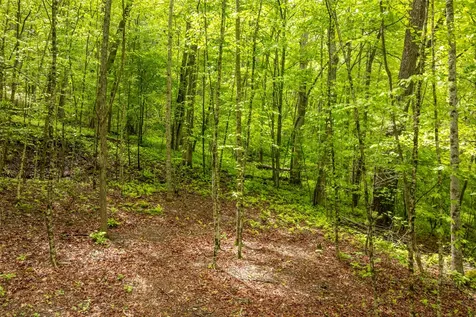 Lot 5 Woods Mountain Trail Cullowhee NC 28723