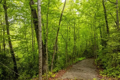 Lot 5 Woods Mountain Trail Cullowhee NC 28723