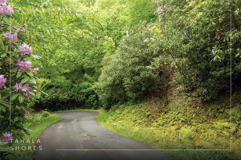 Lot 5 Woods Mountain Trail Cullowhee NC 28723