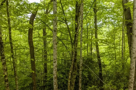 Lot 5 Woods Mountain Trail Cullowhee NC 28723