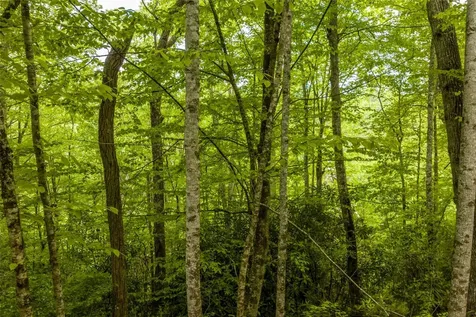 Lot 5 Woods Mountain Trail Cullowhee NC 28723