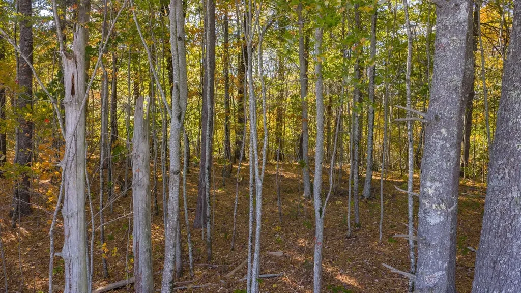 Lt 11 Come Along Way Cullowhee NC 28723