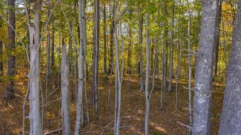 Lt 11 Come Along Way Cullowhee NC 28723