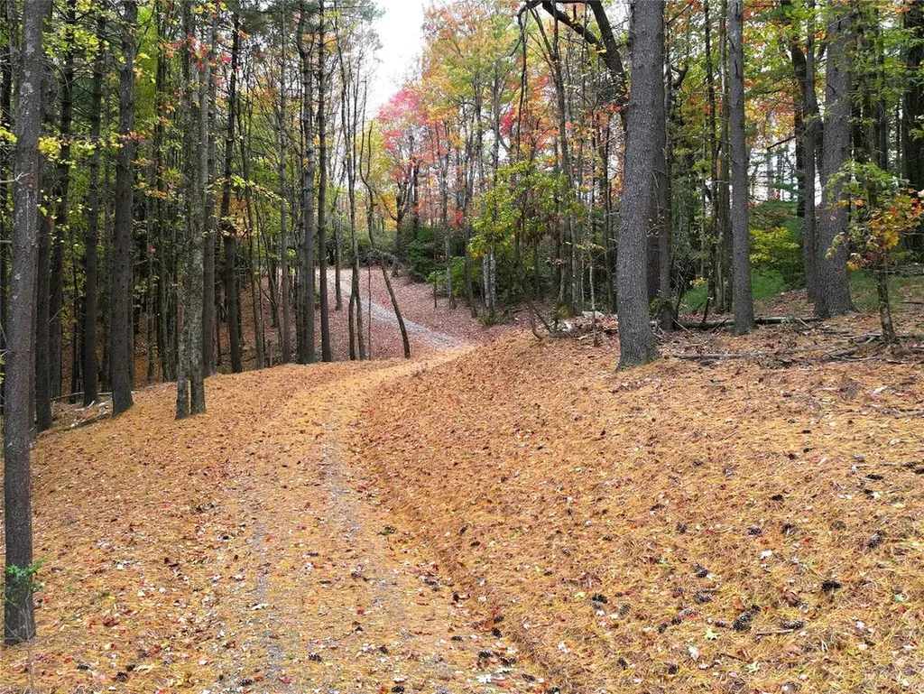 243 Ridgeline Drive Brevard NC 28712