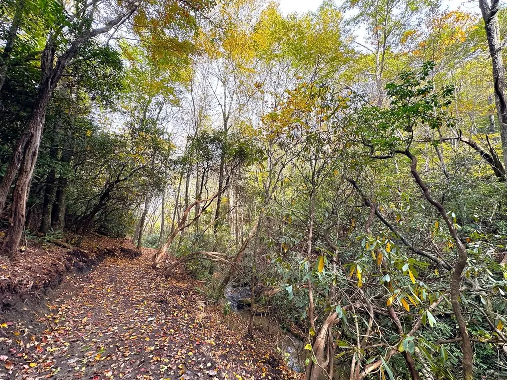 243 Ridgeline Drive Brevard NC 28712