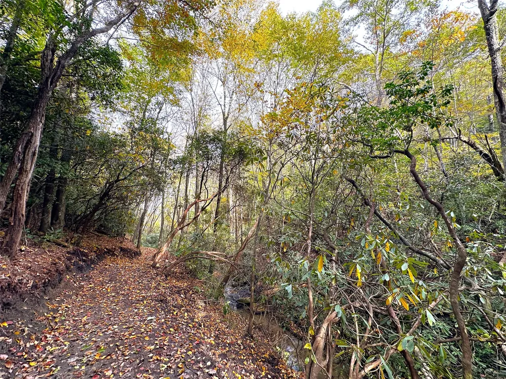 243 Ridgeline Drive Brevard NC 28712
