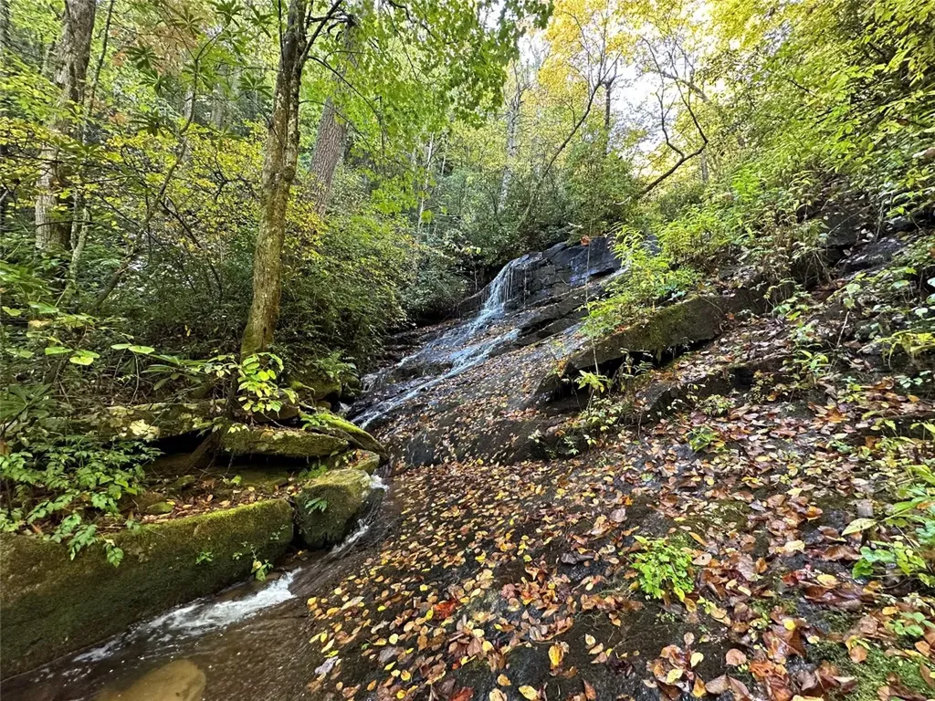 243 Ridgeline Drive Brevard NC 28712