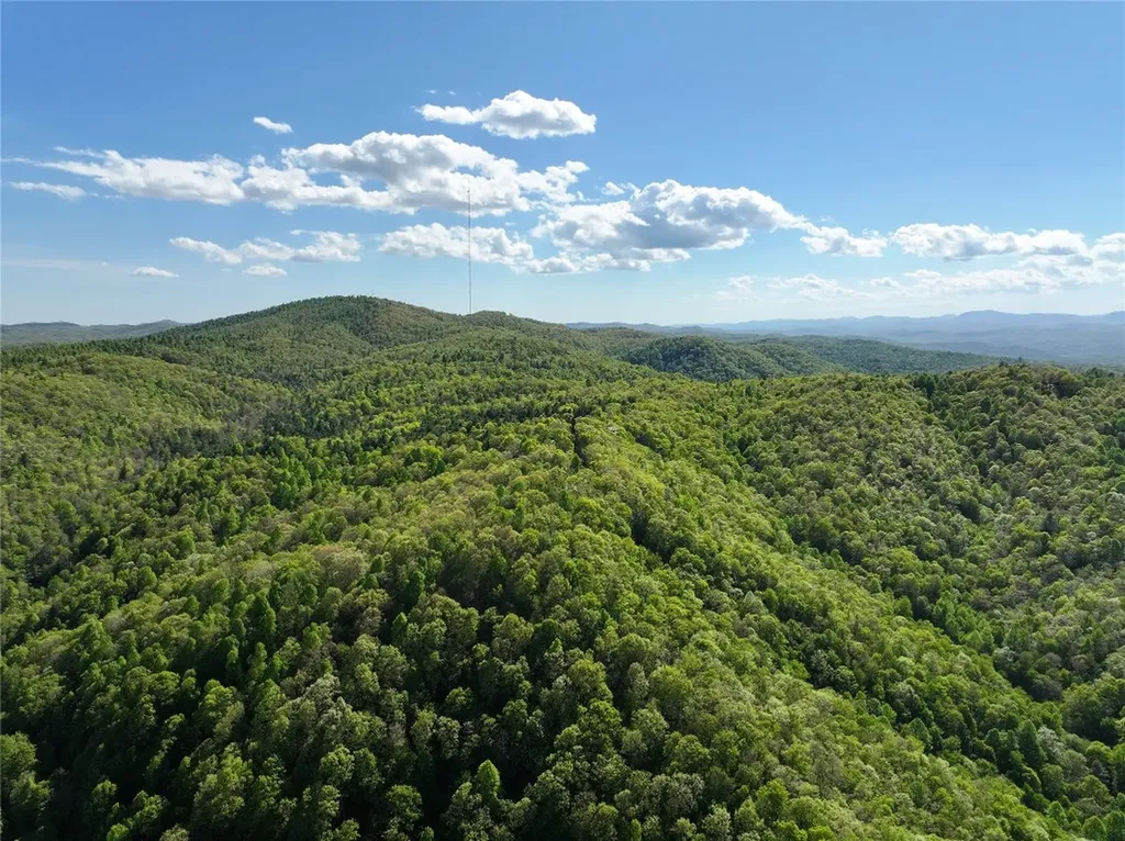 243 Ridgeline Drive Brevard NC 28712