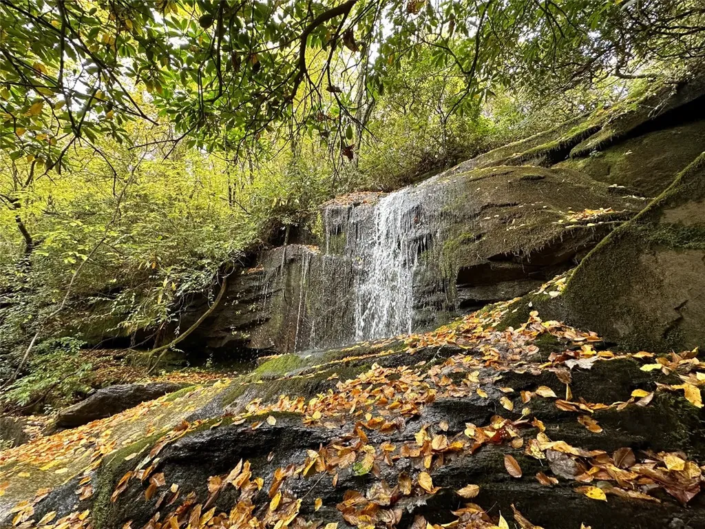 243 Ridgeline Drive Brevard NC 28712