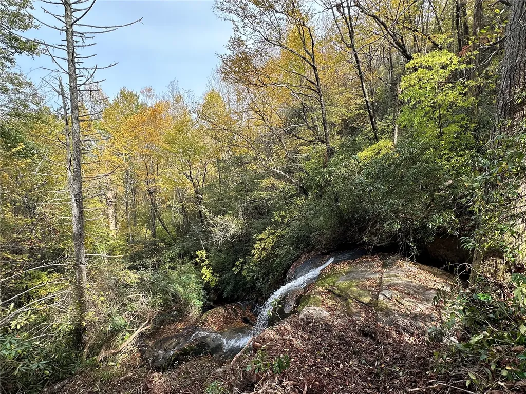 243 Ridgeline Drive Brevard NC 28712