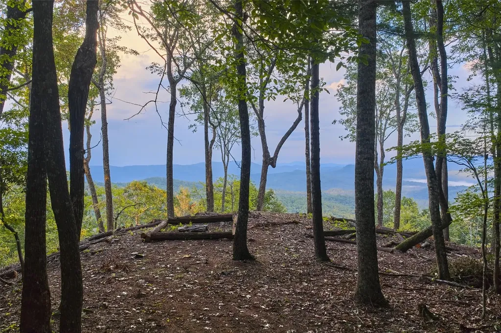 243 Ridgeline Drive Brevard NC 28712