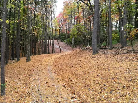 243 Ridgeline Drive Brevard NC 28712