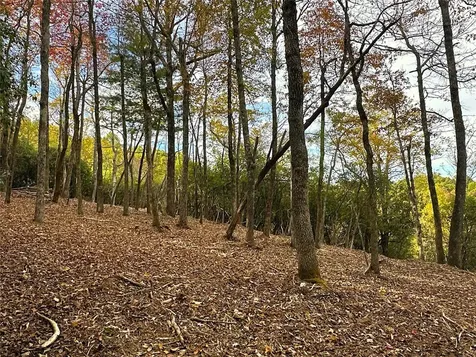 243 Ridgeline Drive Brevard NC 28712