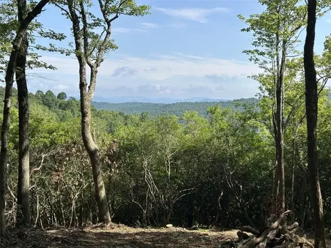 243 Ridgeline Drive Brevard NC 28712