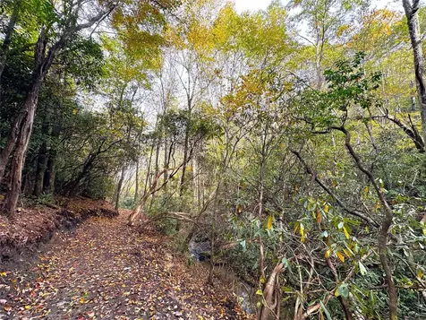 243 Ridgeline Drive Brevard NC 28712