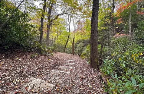 243 Ridgeline Drive Brevard NC 28712