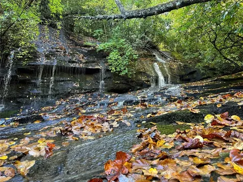 243 Ridgeline Drive Brevard NC 28712